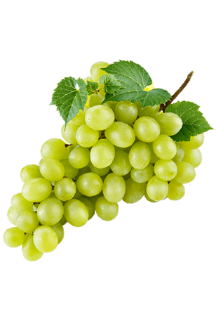 white grapes